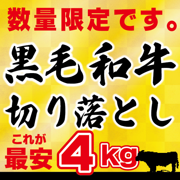 送料無料 【訳アリ】黒毛和牛 4ｋｇ 切り落とし肉　（国内産）これが最安値 4ｋｇ （250ｇ×16） 小分けで便利<br><br>牛肉 切落し 切り落し  訳あり 国産 牛丼 炒め物 鉄板焼肉 肉じゃが 手巻き寿司 肉うどん しぐれ煮 ハッシュドビーフ プルコギ キンパ 送料無料 送料込み