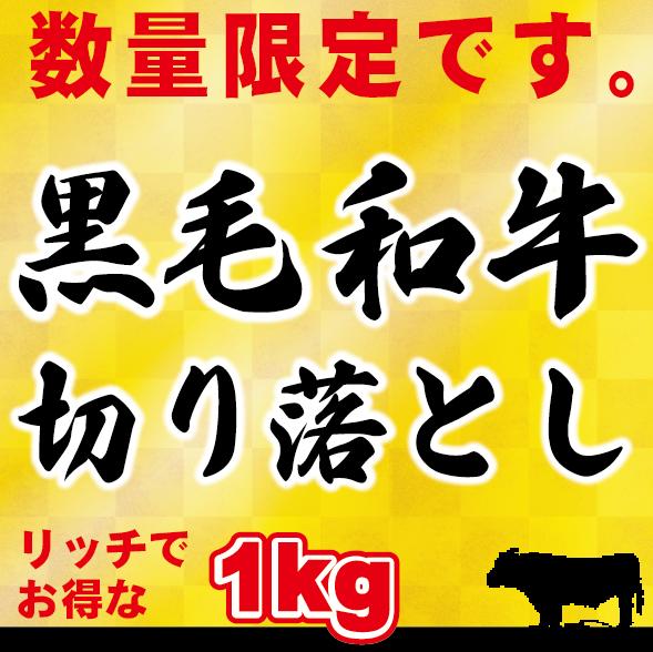 【訳アリ】黒毛和牛 1ｋｇ 切り落とし肉　（国内産）たっぷりお得な1ｋｇ 小分けで便利（250ｇ&times;4）牛肉 切落し 切り落し 送料込み 訳あり 国産 牛丼 炒め物 鉄板焼肉 肉じゃが 肉うどん しぐれ煮 ハッシュドビーフ プルコギ