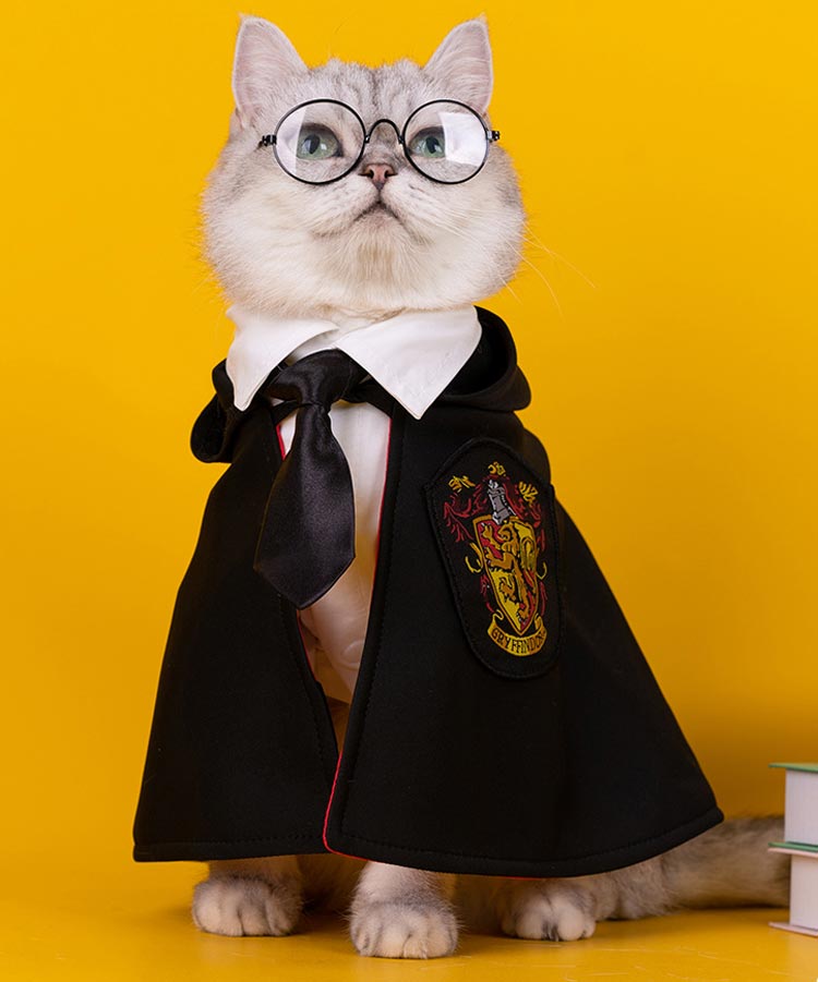 即納】在庫処分 猫 犬 ハロウィンペット仮装 マント ペット服 コスプレ