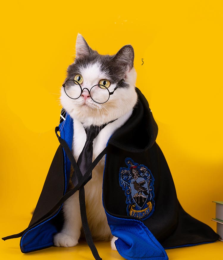 即納】在庫処分 猫 犬 ハロウィンペット仮装 マント ペット服 コスプレ