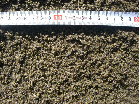 楽天市場 送料無料 川砂２０kg袋売り 高木建材店エクステリア資材館