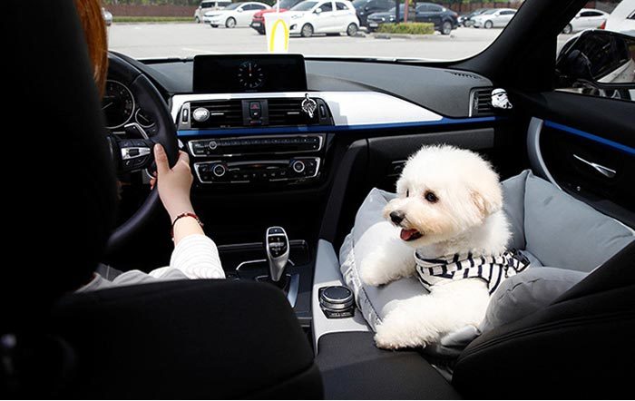 唐人笛寝台 乗物載 肘掛 小型秘密捜査員 中型 車 お出かけ アウトドア 撥水 防汚 防油 防災 運転用気品 通年 車両用品 ベッド カドラー ピックアップお休み Daemlu Cl