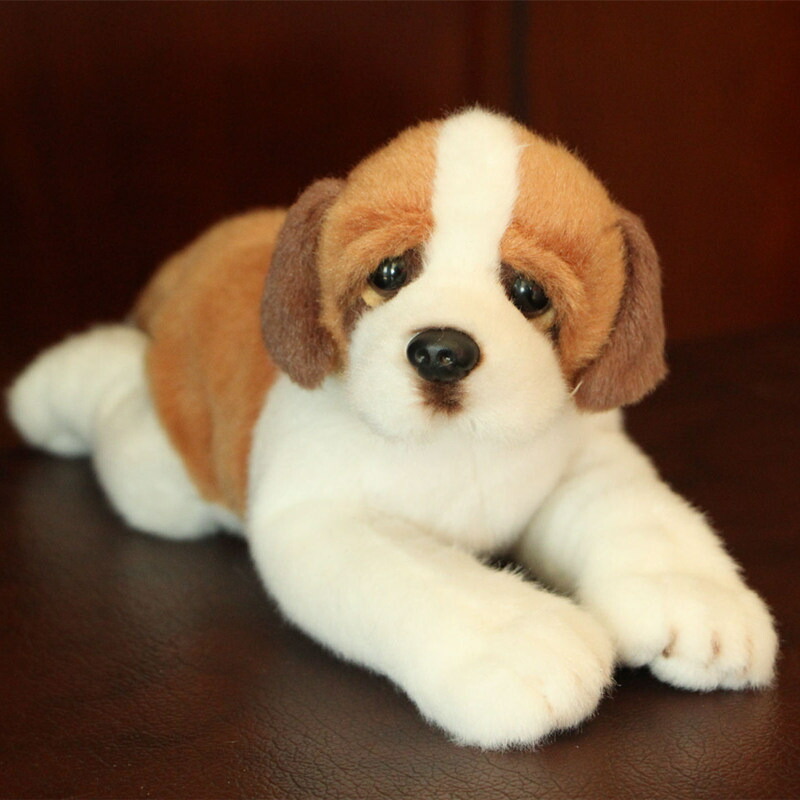 楽天市場】ヨーゼフ Lサイズよーぜふ セントバーナード いぬ 犬