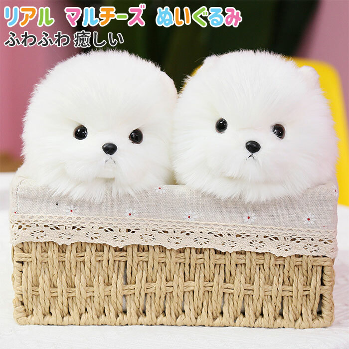 【新品】 犬 マルチーズ ぬいぐるみ 作家 ぬいぐるみ パピマル ぬいぐるみ 楽天市場】ぬいぐるみ マルチーズ 犬のぬいぐるみ リアル