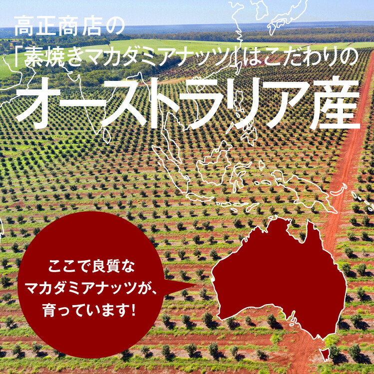 送料0円】 素焼きマカダミアナッツ マカデミアナッツ 800g 送料無料 オーストラリア産 無塩 無油 完全無添加 湿気対策 こだわりロースト  間食やおつまみに最適 パルミトオレイン酸が豊富 美容 アンチエイジングにも チャック付き whitesforracialequity.org