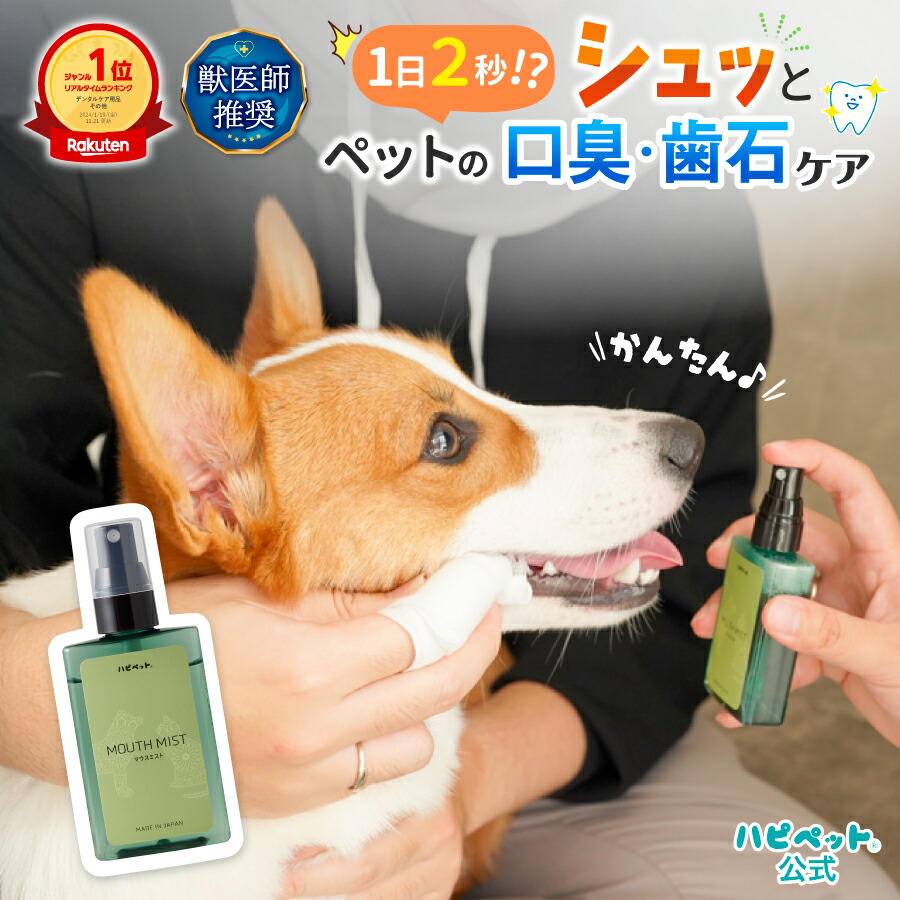 楽天市場】【楽天1位・獣医師推奨】 犬 猫 歯磨き 歯石取り 楽天市場】【楽天1位・獣医師推奨】 犬 猫 歯磨き 歯石取り
