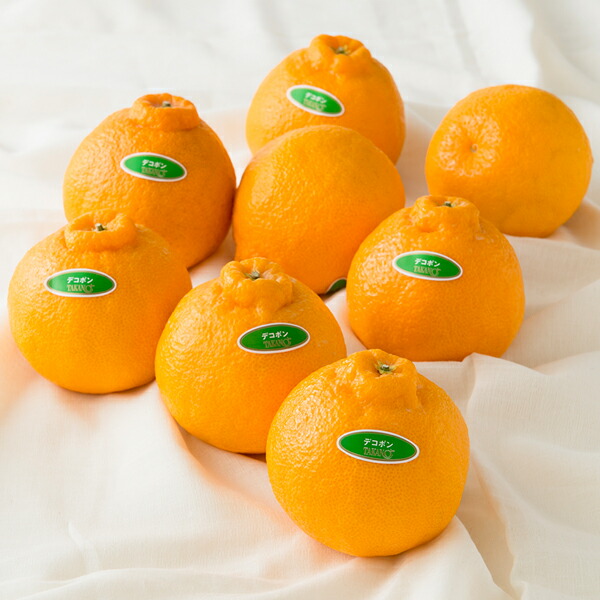<br><br>【公式】新宿高野 Day Fruit デイフルーツ デコポン #29100｜自宅用 おうち ギフト 果物 内祝い フルーツギフト 引越し内祝い 新築内祝い 開店内祝い お見舞い 高級フルーツ お祝い くだもの 柑橘 出産祝い 引越し祝い 新築祝い  プレゼント