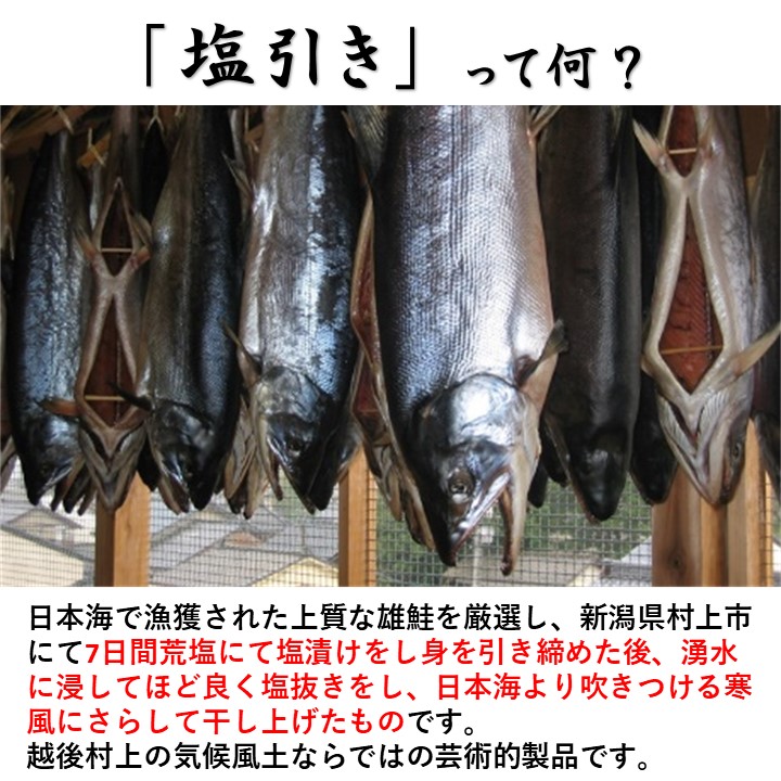 期間限定特別価格 塩引き鮭 1本物 特大サイズ 仕上がり 2.6kg 化粧箱入 送料無料 敬老の日 残暑見舞い ギフト プレゼント 塩引鮭 塩引き  1尾 鮭 サケ サーモン 雄鮭 切り身 魚 海鮮 ご飯のお供 のし 贈り物 贈答 お礼 お返し お祝い 内祝い 新潟 小針水産