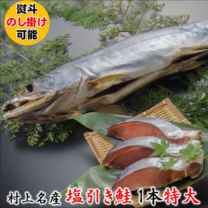 最大81 Offクーポン 塩引き鮭 1本物 特大サイズ 仕上がり 2 6kg 化粧箱入 送料無料 敬老の日 残暑見舞い ギフト プレゼント 塩引鮭 塩引き 1尾 鮭 サケ サーモン 雄鮭 切り身 魚 海鮮 ご飯のお供 のし 贈り物 贈答 お礼 お返し お祝い 内祝い 新潟 小針水産