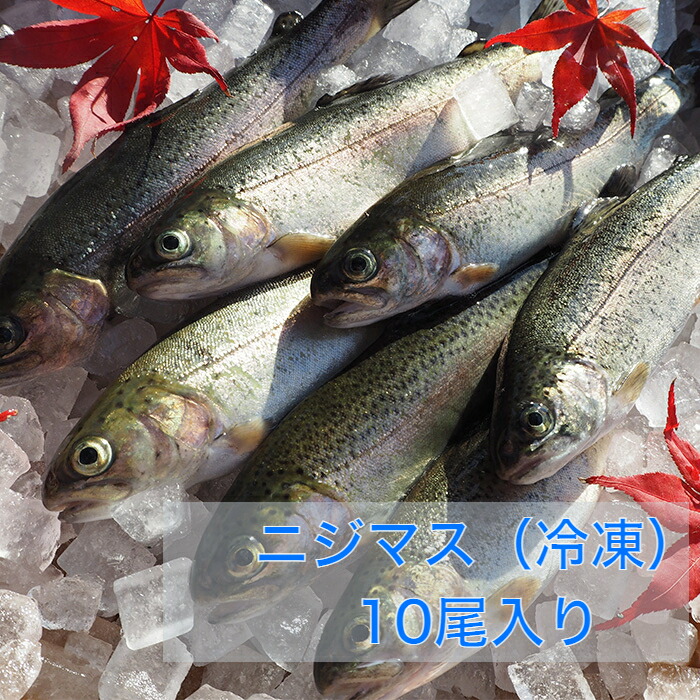 【楽天市場】ニジマス にじます 虹鱒 マス 川魚 BBQ 新潟 魚沼 送料無料 ギフト 塩焼き 冷凍 10尾セット 食材 鱒 鮮魚：魚沼 高野養魚場