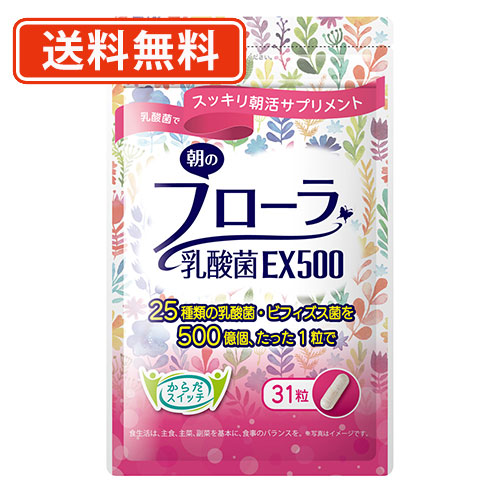 【送料無料/メール便】　朝のフローラ　乳酸菌EX500　31粒入り×1個セット　【同梱不可】【腸内フローラ】