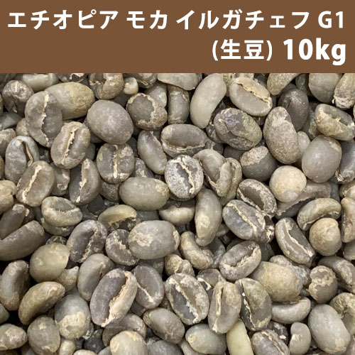 【コーヒー生豆】グアテマラ SHB 10kg ※送料無料！ 楽天市場】コーヒー 生豆 グアテマラ SHB 10kg(5kg×2) 【送料無料