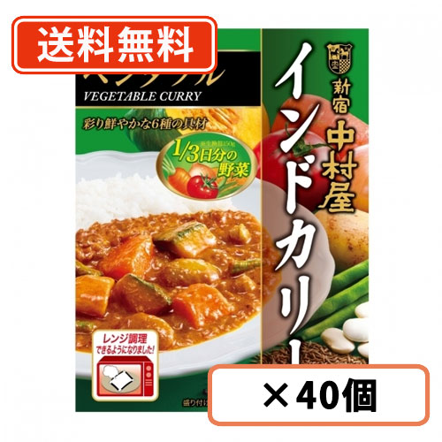 エントリーしてポイント最大12倍！4月10日1時59分まで☆ 新宿中村屋 インドカリー ベジタブル 190g×40個 カレー レトルトカレー curry 野菜 スパイス 電子レンジ調理可 【送料無料(一部地域を除く)】