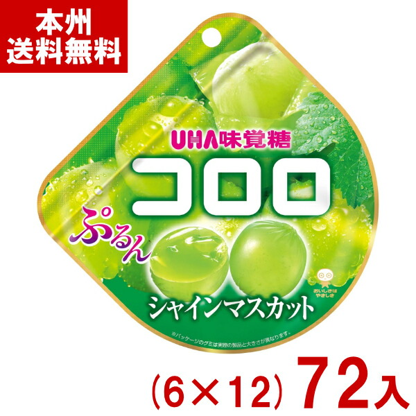 味覚糖 48g コロロ シャインマスカット (6×12)72入 (グミ お菓子 おやつ イベント 景品 販促品 まとめ買い) (ケース販売)(Y10) (本州送料無料)