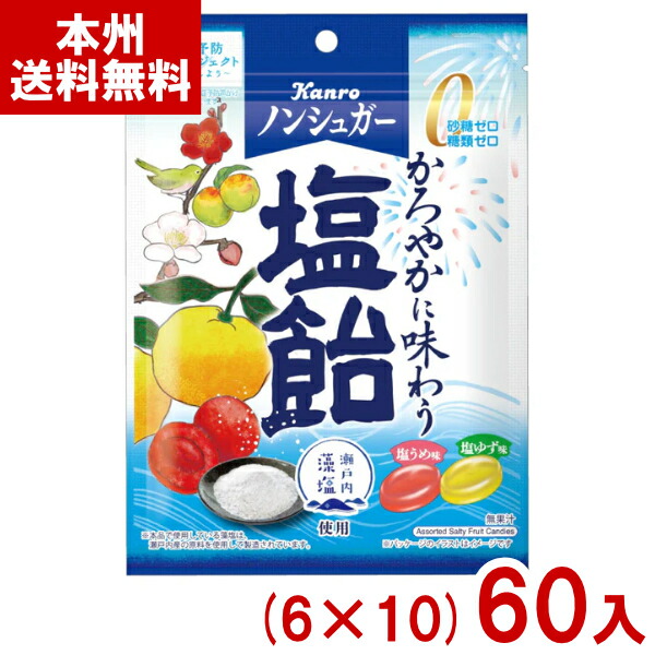 カンロ 70g ノンシュガー塩飴 (6×10)60入 (砂糖不使用 キャンディ 砂糖不使用 飴 糖類ゼロ お菓子) (ケース販売)(Y10) (本州送料無料)