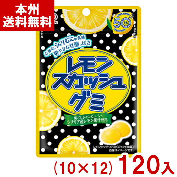レモンルーク　② ＋ねずみ 楽天市場】不二家 レモンスカッシュグミ 47g×10個 賞味期限2026