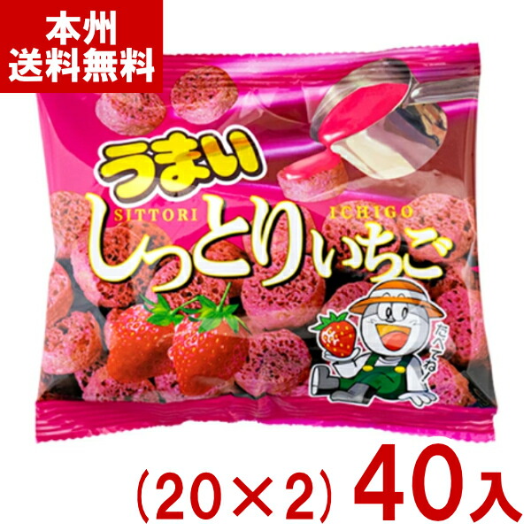 楽天市場】(賞味期限2026.5月末) 味覚糖 ぷっちょ袋 至幸のいちご 67g