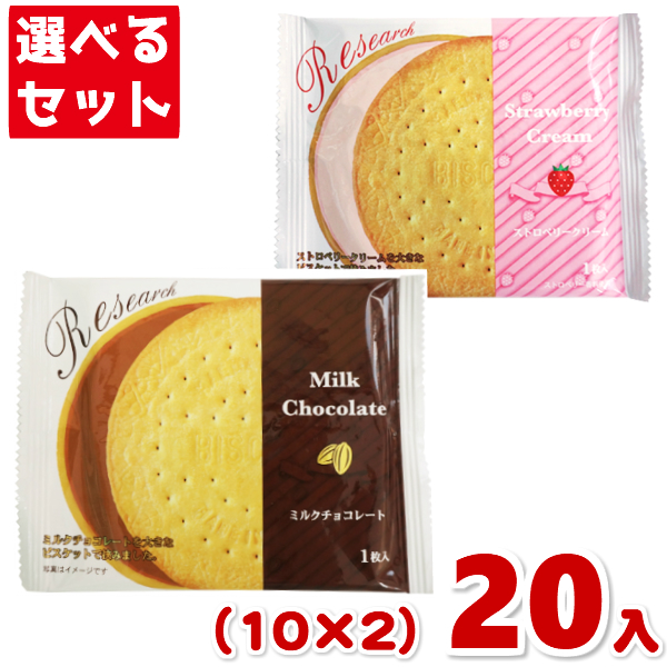 楽天市場】前田製菓 チョコレートサンドビスケットリサーチ(10×12)120