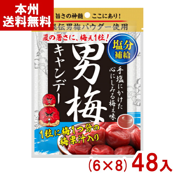 ノーベル 80g 男梅キャンデー (6&times;8)48入 (熱中症対策 塩分補給 うめ 男梅 キャンディ お菓子 景品) (Y10) (本州送料無料)｜ゆっくんのお菓子倉庫