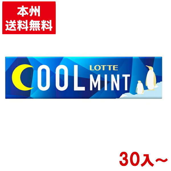 ロッテ　フラボノガム　100枚入り 2025年最新】フラボノガムの人気アイテム - メルカリ