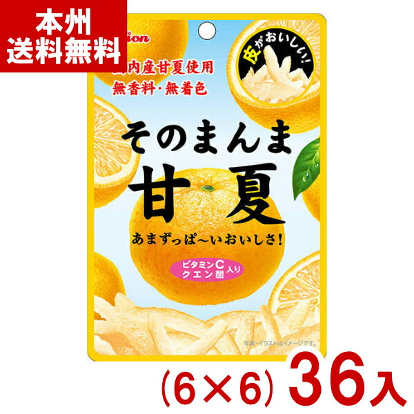 ライオン菓子 25g そのまんま甘夏 (6×6)36入 (甘夏ピール 無香料 無着色 お菓子 おやつ 景品 まとめ買い) (Y80) (本州送料無料)