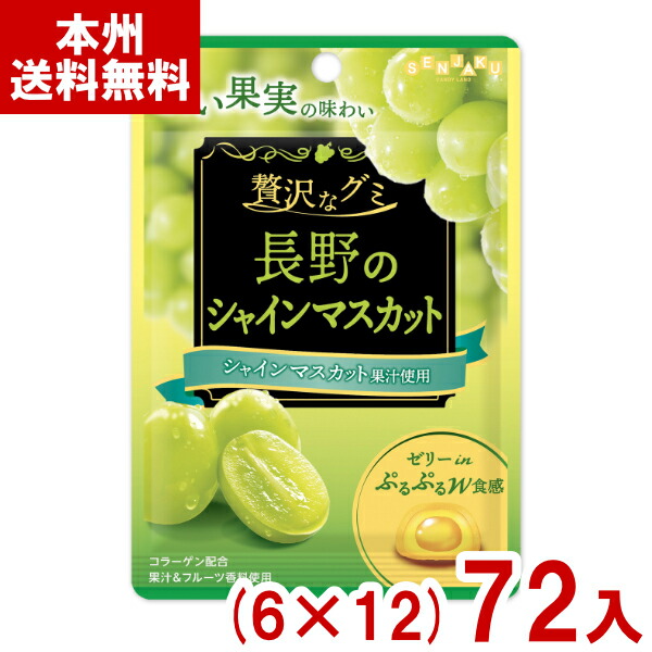 【アミューズメント菓子】グミのまとめ売りです！ 明治チューインガム株式会社 もぎもぎフルーツグミ 21g×12×108個