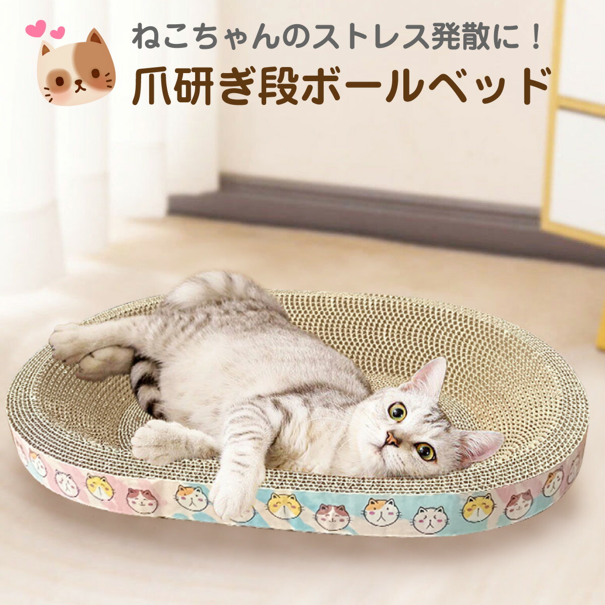 みねこページ neko-d-bed-01.jpg