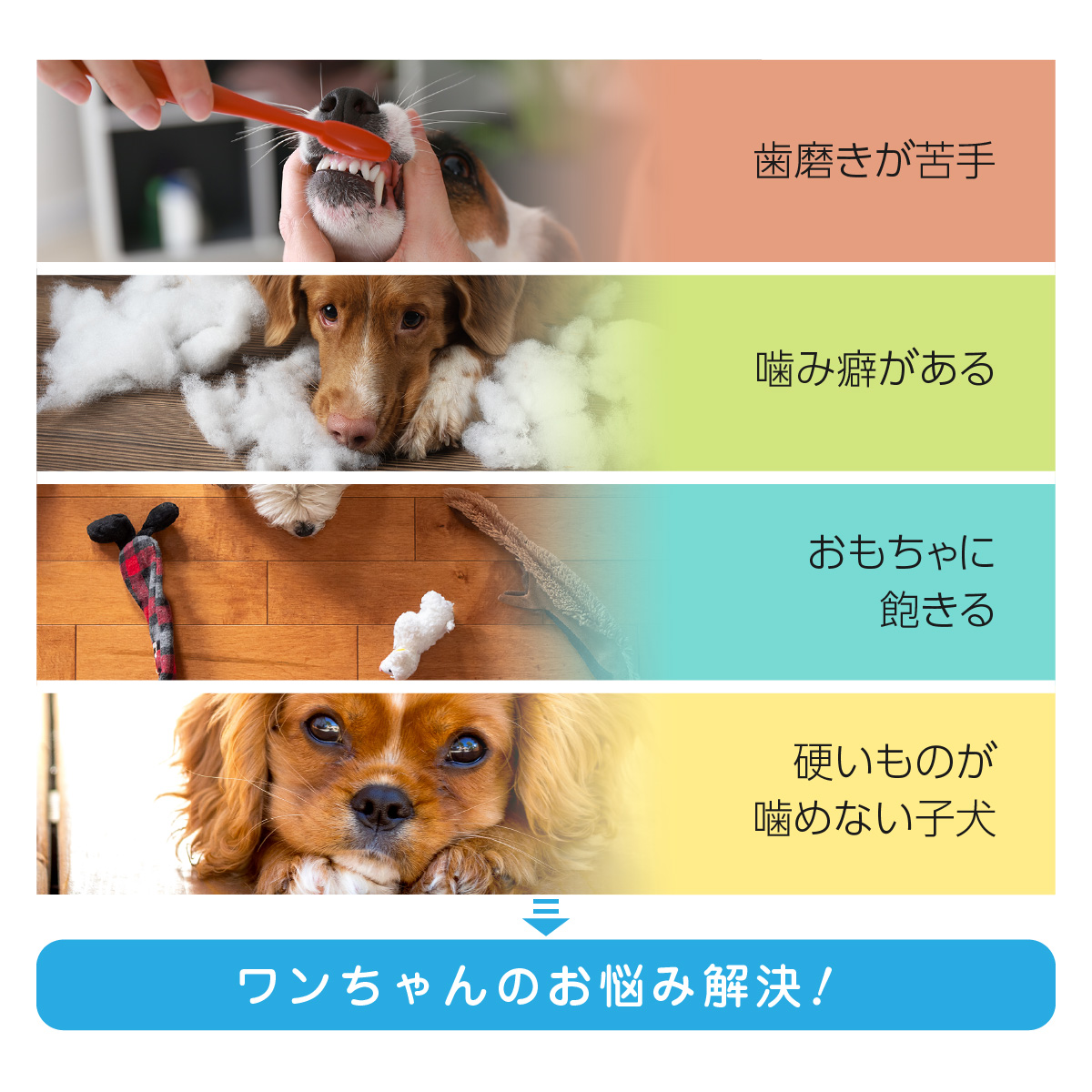 最大54％オフ！ 犬 歯磨き おもちゃ 犬歯ブラシ ペット用 歯ブラシ