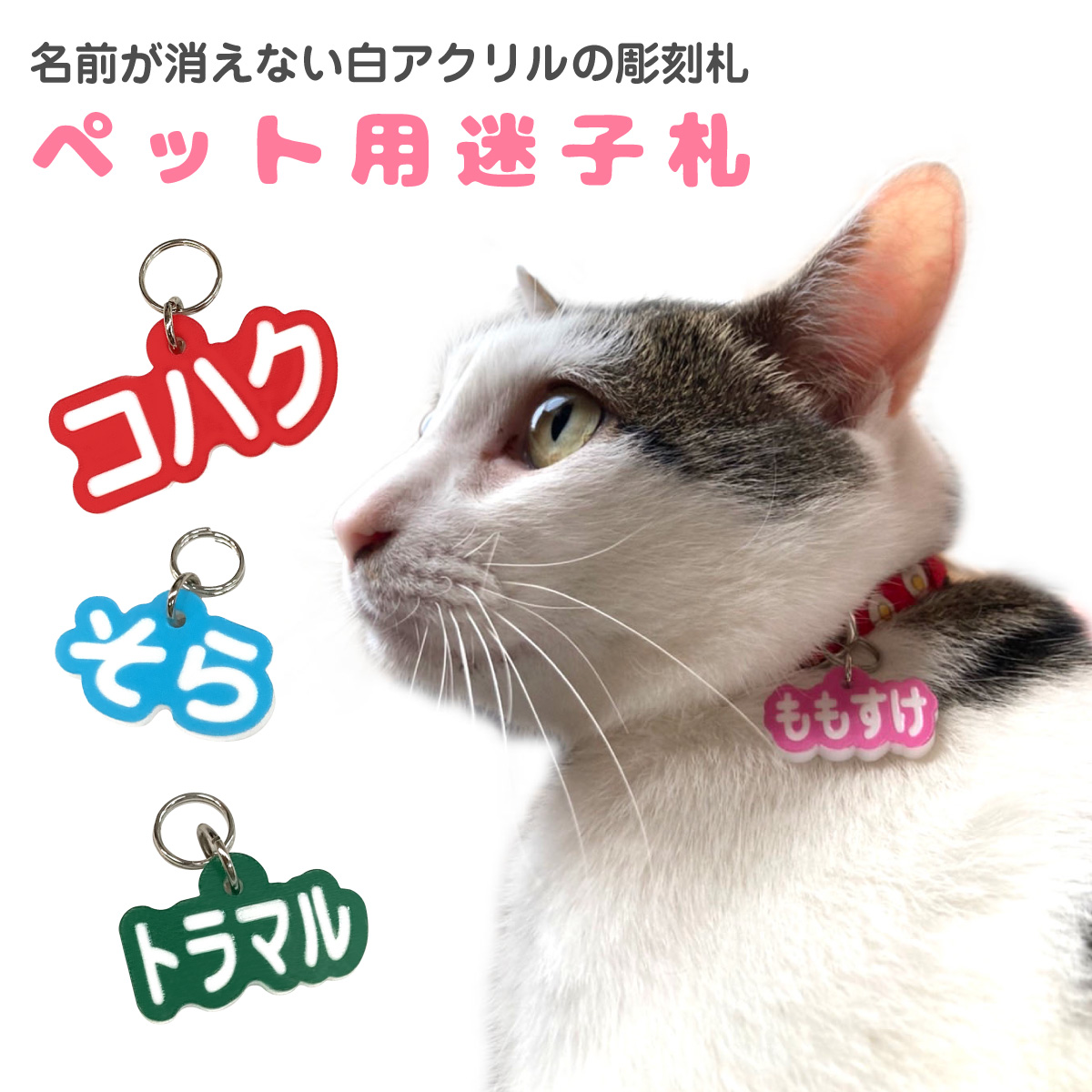 海外輸入】 名前ワッペン ねこ 猫 ネコ nmef.com