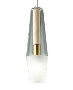 大光電機 DPN-41188Y LED小型ペンダントライト 電球色 非調光 白熱灯60W相当 プラグタイプ ダクト取付専用 照明器具 カフェ ダイニング用 吊り下げ照明
