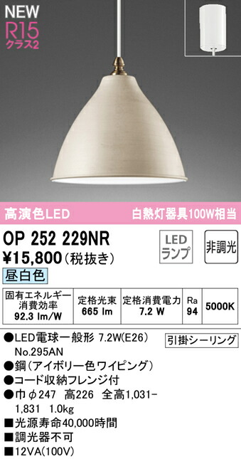 オーデリック OP252229NR LEDペンダントライト R15高演色 クラス2 白熱灯器具100W相当 昼白色 非調光 照明器具 吊下げ 天井照明