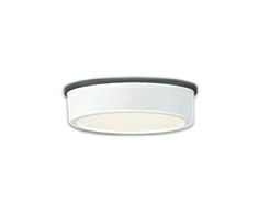 オーデリック OG254528R エクステリア LEDシーリングライト FLAT PLATE R15高演色 クラス2 白熱灯器具60W相当 非調光 電球色 113°拡散配光 要電気工事 照明器具 屋外用 軒下用