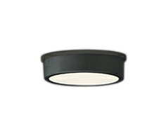 オーデリック OG254530R エクステリア LEDシーリングライト FLAT PLATE R15高演色 クラス2 白熱灯器具60W相当 非調光 電球色 113°拡散配光 要電気工事 照明器具 屋外用 軒下用