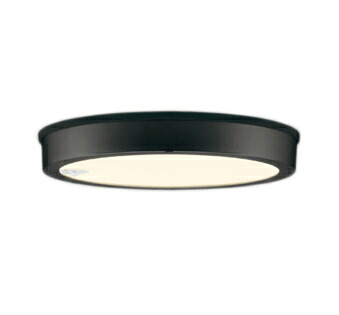 オーデリック OG254816R エクステリア LEDシーリングライト FLAT PLATE R15高演色 クラス2 FCL30W相当 人感センサー付 電球色 114°拡散配光 要電気工事 照明器具 屋外用 軒下用