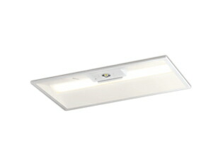 オーデリック XR507010R3E LEDベースライト LED-LINE 非常用照明器具(階段通路誘導灯兼用型) 埋込型 下面開放型(幅300) 20形 1600lmタイプ FL20W×2灯相当 R15高演色 クラス2 非調光 電球色 照明器具 35,357円