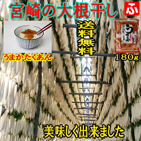 銀さん　金沢干し大根5kg×2束（28本〜32本程度）※手作り沢庵に。 楽天市場】[金沢産] こんなに曲がるほど、よく干した干し大根 1