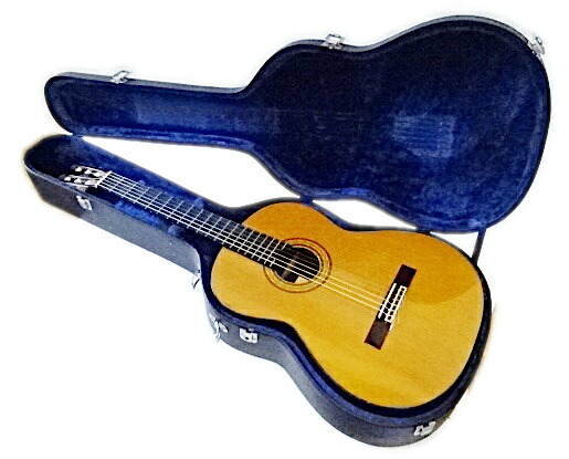 【中古　個人出品】　エレアコ　TAKAMINE　タカミネ　ＰＴ―１０６ 楽天市場】【送料無料】Takamine / PT-106【中古】【楽器/ｴﾚｱｺ