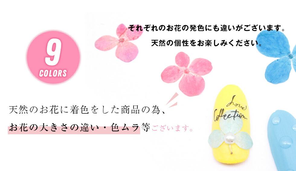 楽天市場 押し花 あじさい ドライフラワー 9色 メール便対応 デコレーションフラワー タカラネイル Takaranail
