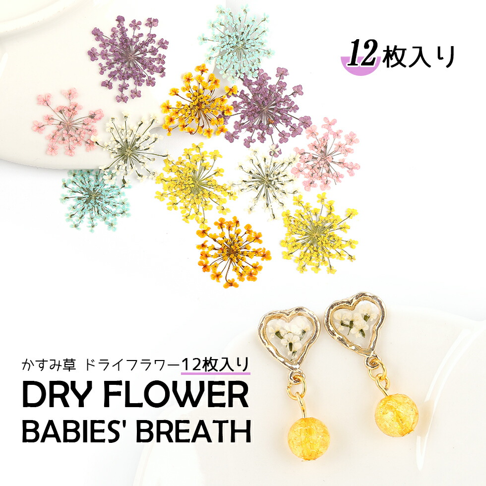 楽天市場 押し花 選べる6色 かすみ草 カスミソウ 霞草 メール便対応 ドライフラワー Uvレジン手芸 レジンクラフト 手作り レジン アクセサリー タカラネイル Takaranail 楽天市場 押し花 選べる6色 かすみ草 カスミソウ 霞草 メール便対応 ドライフラワー Uvレジン手芸 レジンクラフト 手作り レジン アクセサリー タカラネイル Takaranail