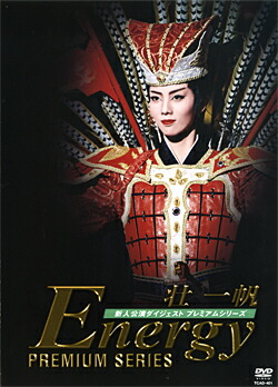8807円 ☆新作入荷☆新品 壮一帆 Energy Premium Series