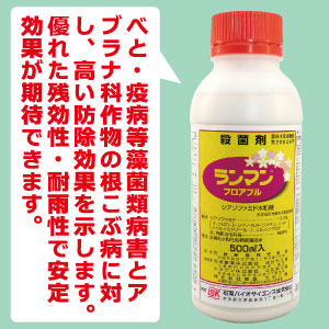 殺菌剤 ランマンフロアブル（500ml×2）シアゾファミド水和剤べと病・疫病・雪腐病・根茎腐敗病・白さび病・根こぶ病などに高い防除効果 ...