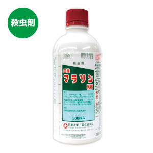 楽天市場 送料込２本入 殺虫剤住友化学 ダントツ 水溶剤 ５００ｇ入 ２ 野菜や果樹のアブラムシ コナジラミ カメムシ カイガラムシの害虫駆除に たかしまオンラインショップ