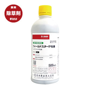 活動の領域はやりっ児Ｐ乳濁液 500ml