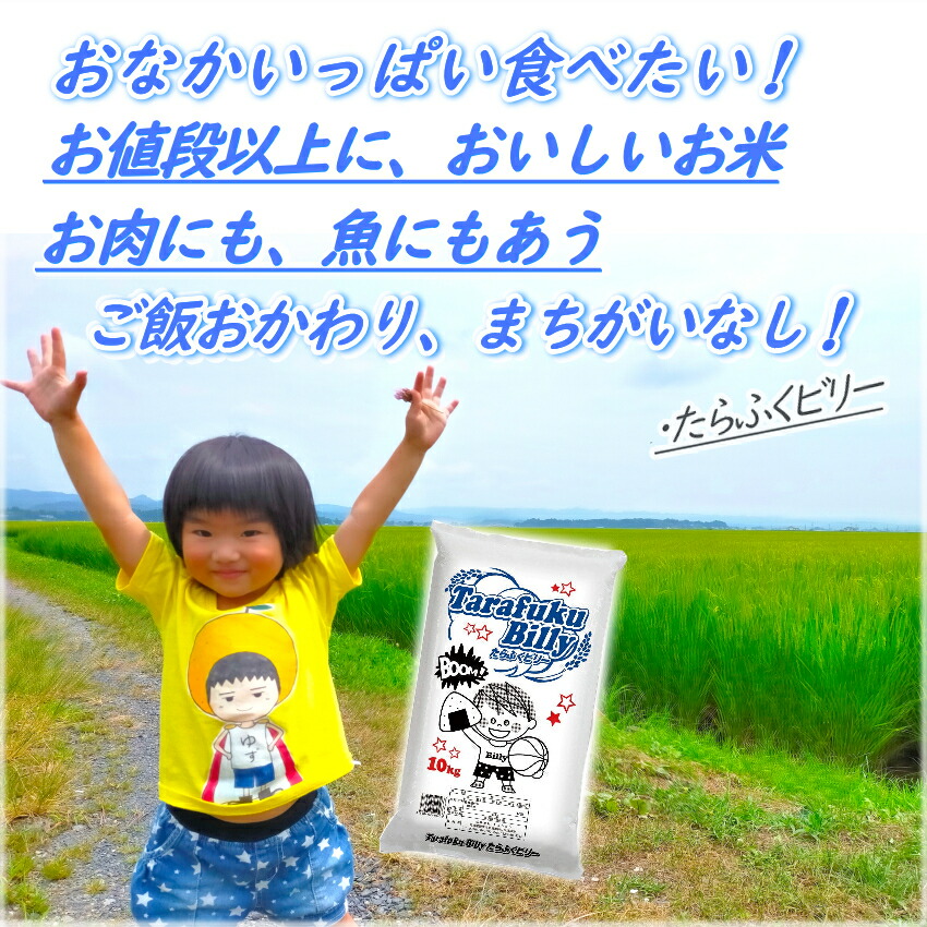 直営限定アウトレット 10kg×3袋 お米 国産 訳あり 業務用 白米 送料無料 30キロ こめ たらふくビリーさん ブレンド米 30kg 米 米・雑穀