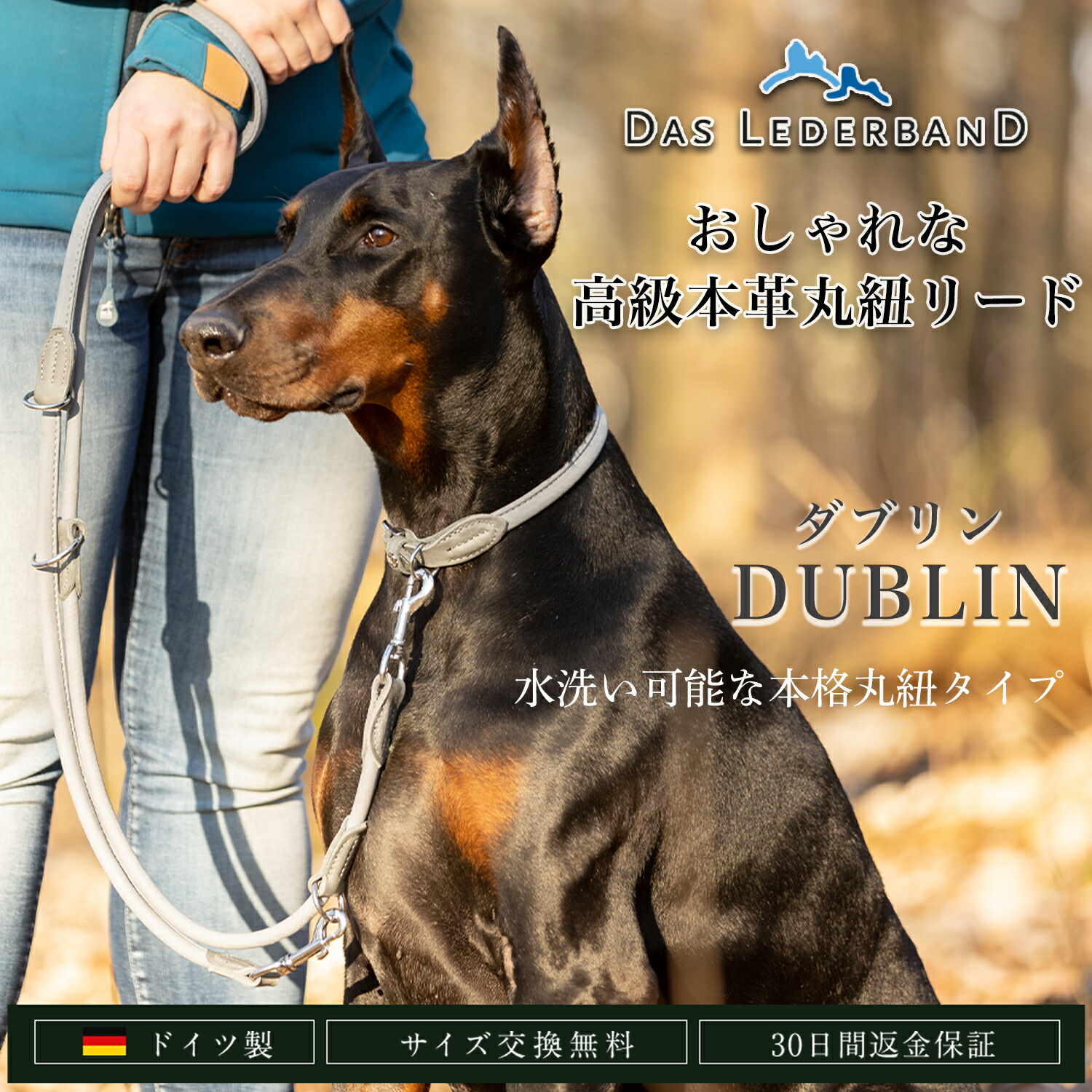 御膳上等本革先んじる 洗える先んじる 丸紐印字機 Das Lederband レダーバンド 「DUBLIN（アイルランド共和国の首都）」 ＦＲＧ製 犬 先んじる なめし革 本革 愛玩動物装具 軽くて思わしい