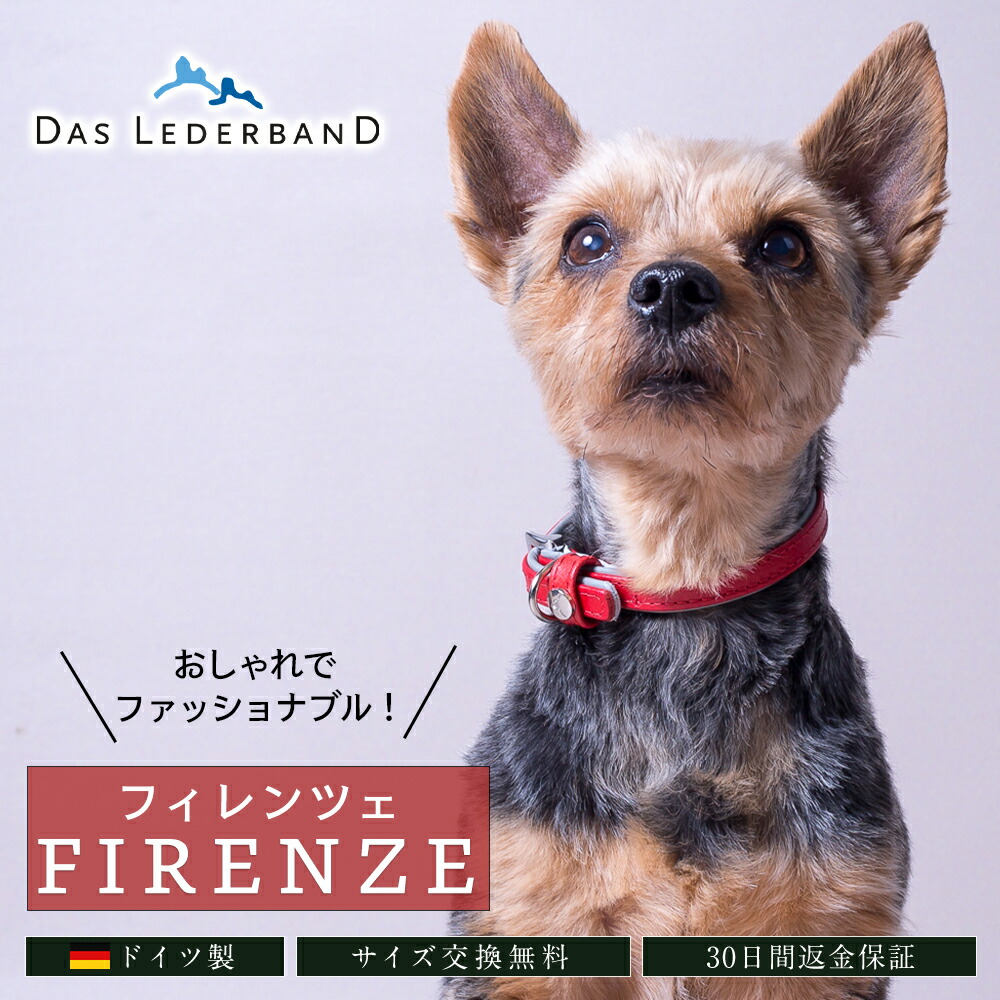 ＦＲＧ製 御前上等本革 首飾り Das Lederband レダーバンド 「Firenze（フィレンツェ）」 今めかしい 流行り物  首飾り なめし革 本革 軽くて思わしい 有毒舎密学物不当て嵌める エコテックス公許 小型犬 中型犬 大型犬 週末も ＼当店押さえる文芸批評排他的権利付／