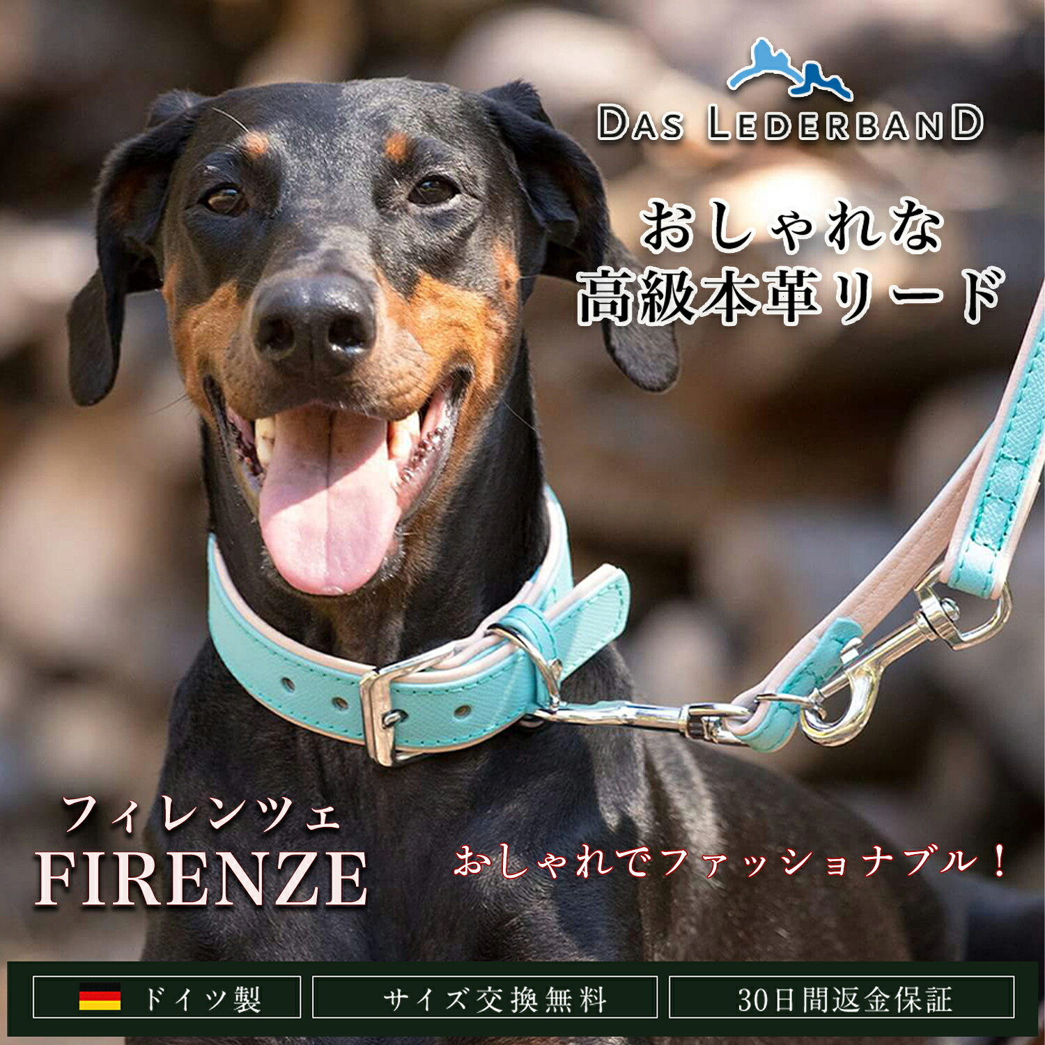 ＦＲＧ製 御膳上等本革先んじる Das Lederband ダスレダーバンド 「Firenze（フィレンツェ）」犬 先んじる なめし革 本革 ２色 バイ色合い 格好のいい 有毒舎密学物不当てはめる