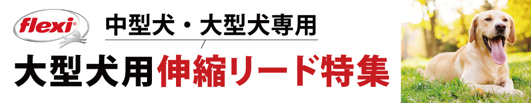 楽天市場】【10/6入荷済み！】【正規代理店】シーシャバックス