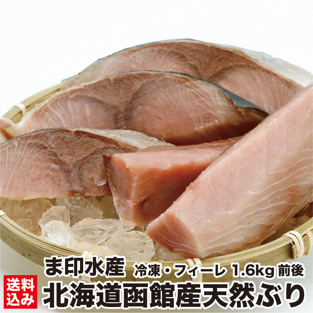 北海道函館産 天然ぶり フィーレ 1.6kg前後 (冷凍 加熱用) 半身 北海道産 国産 鰤 しゃぶしゃぶ ぶりしゃぶ 海産物 海鮮 旬 お取り寄せ 問屋直送 送料込み 送料無料