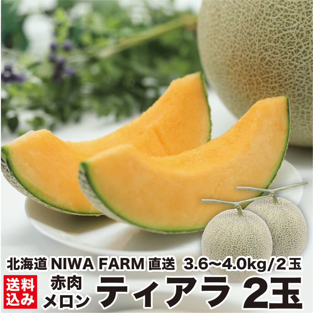 メロン 318a4aa49e155175772ee58f2cdd3b